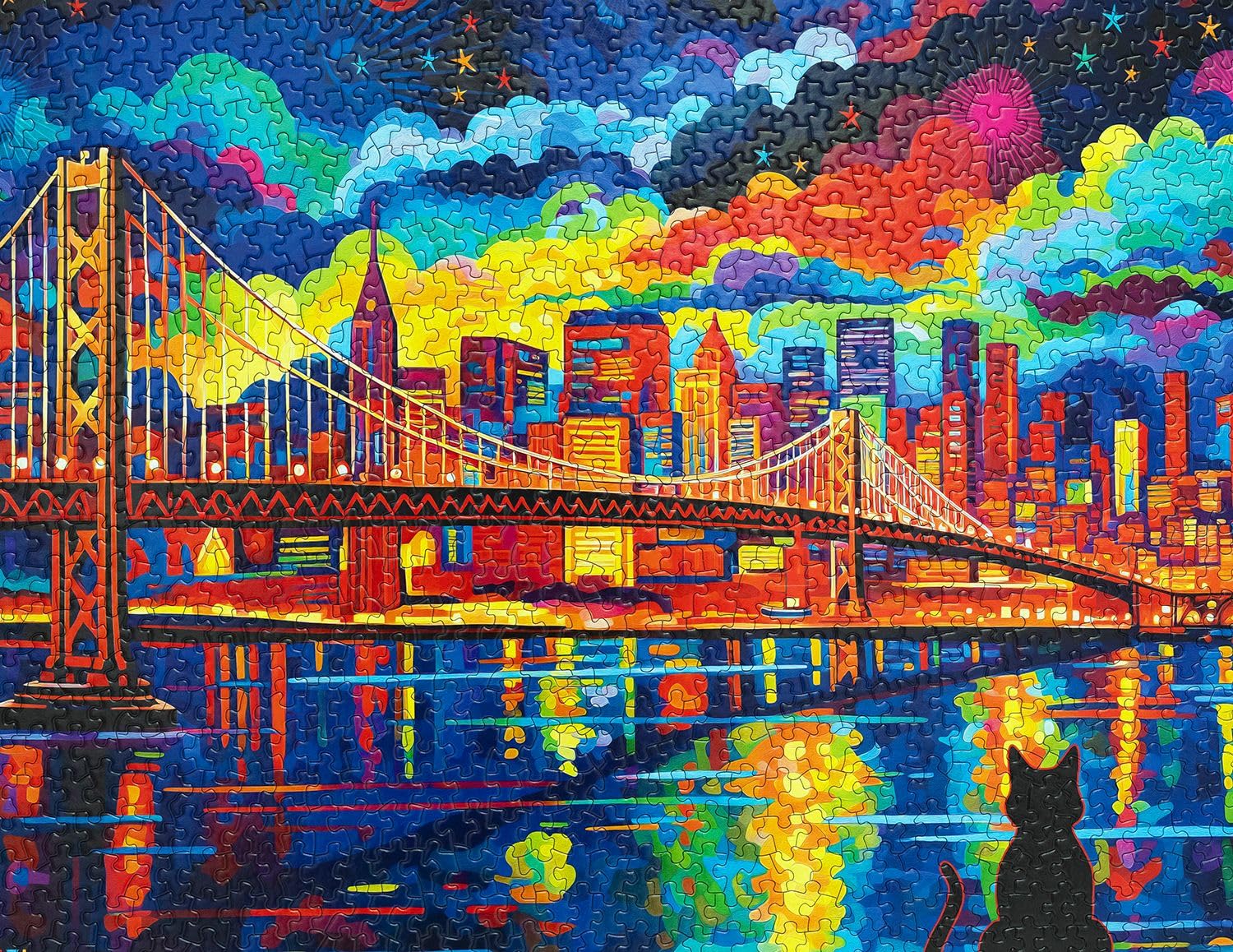 Amazon.com: Springbok's Midnight in San Francisco 1000 Piece